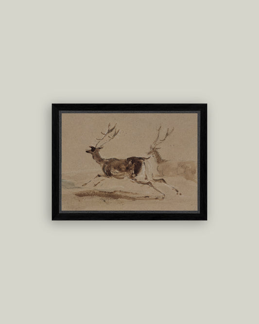 Two Stags Running