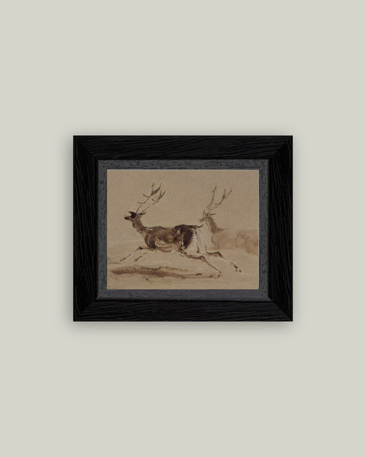 Two Stags Running