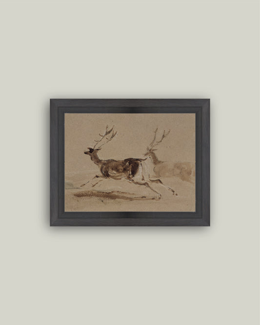 Two Stags Running