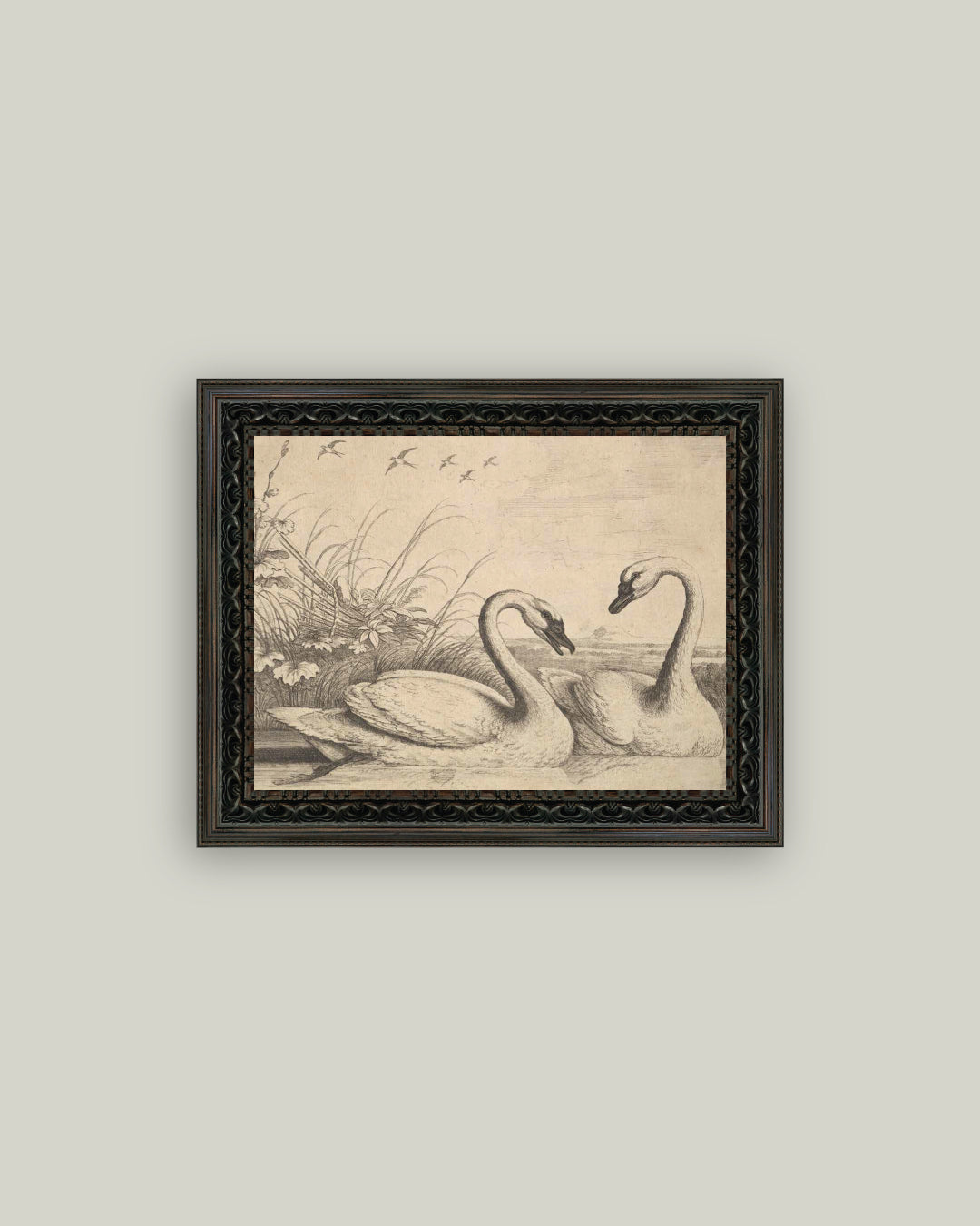 Two Swans