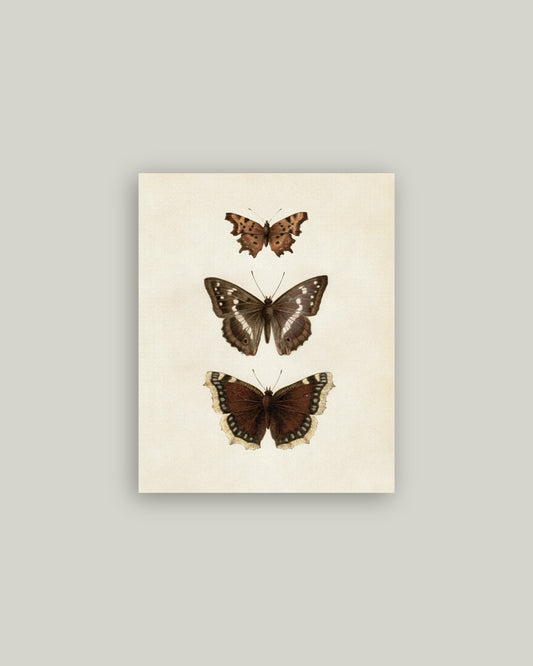 Three Butterflies Artist Board