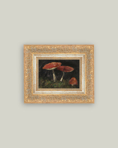 Vintage Mushrooms