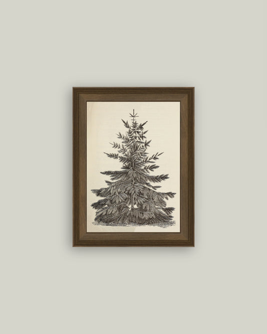 Vintage Pine Tree