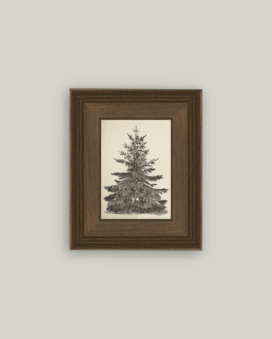 Vintage Pine Tree