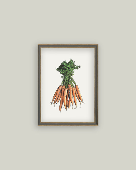 Vintage Carrots