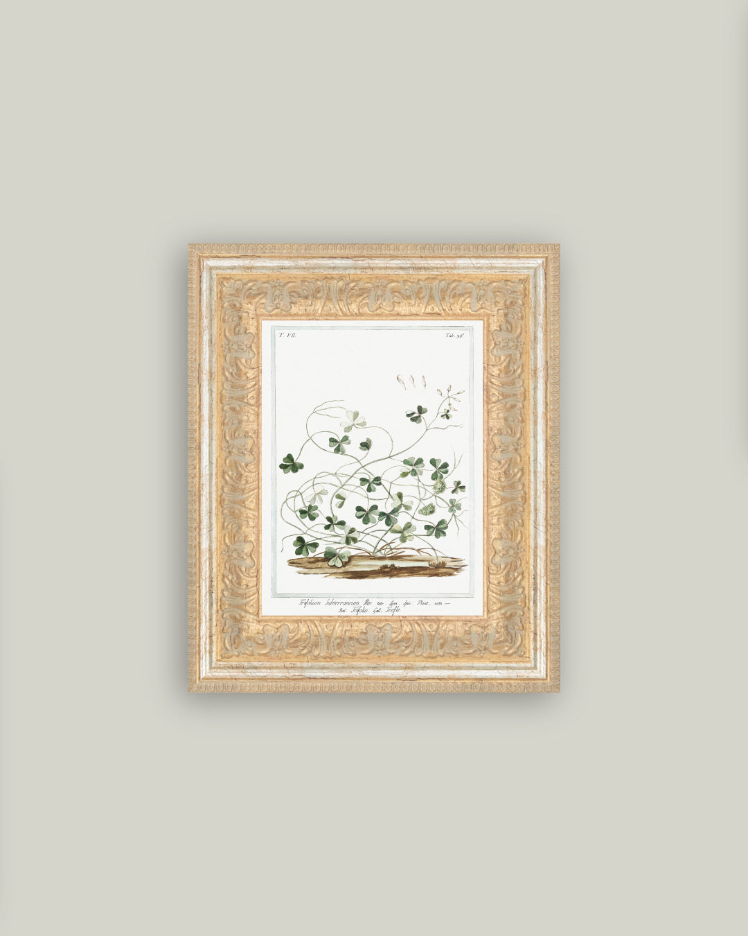 Vintage Clover Painting