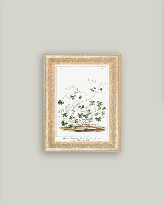 Vintage Clover Painting