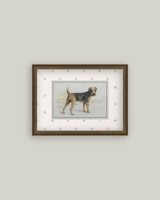 Welsh Terrier