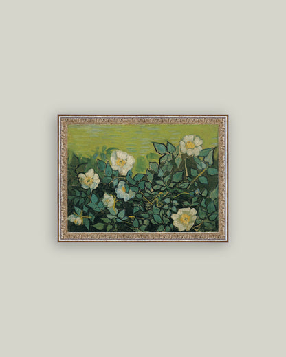 Wild Roses