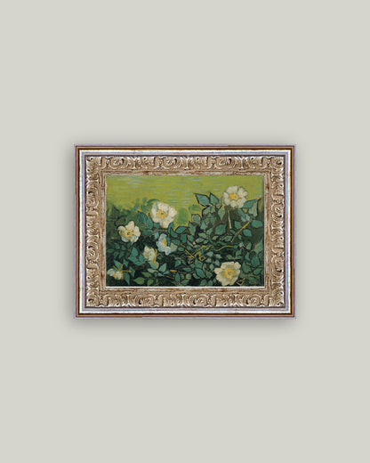 Wild Roses