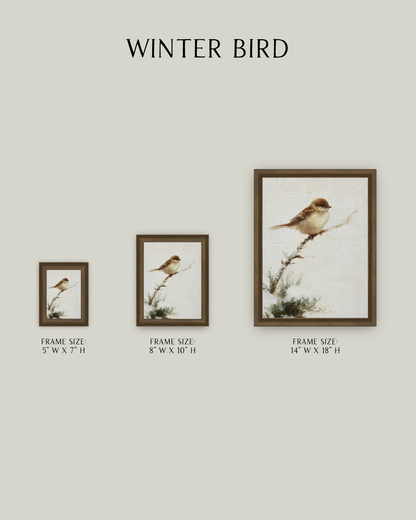 Winter Bird