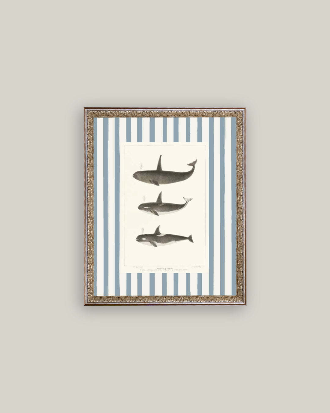 Whales on Stripes