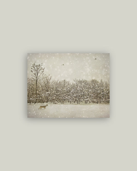 Winter Fawn Artist Board