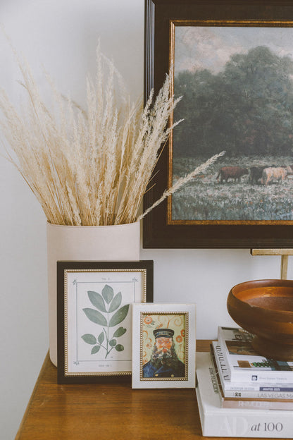 Plant Atlas