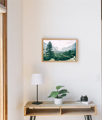 Photography Board Mountain Pine