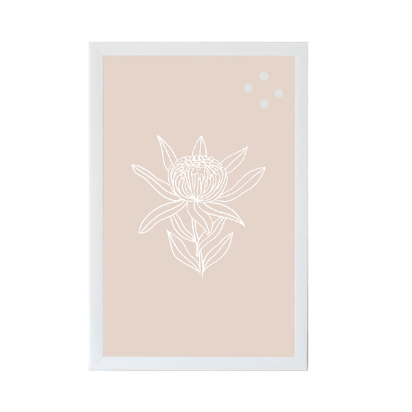 Protea Flower Botanical Line Drawing