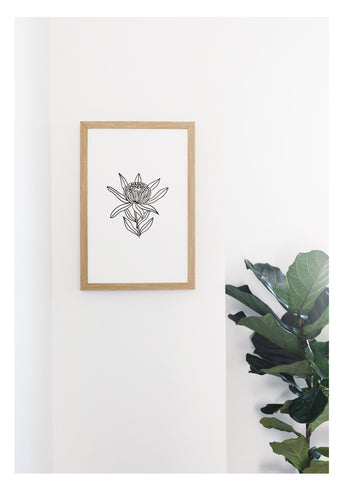 Petal Lane Home Neutral Botanical Line Drawn Protea Flower on Magnetic Board